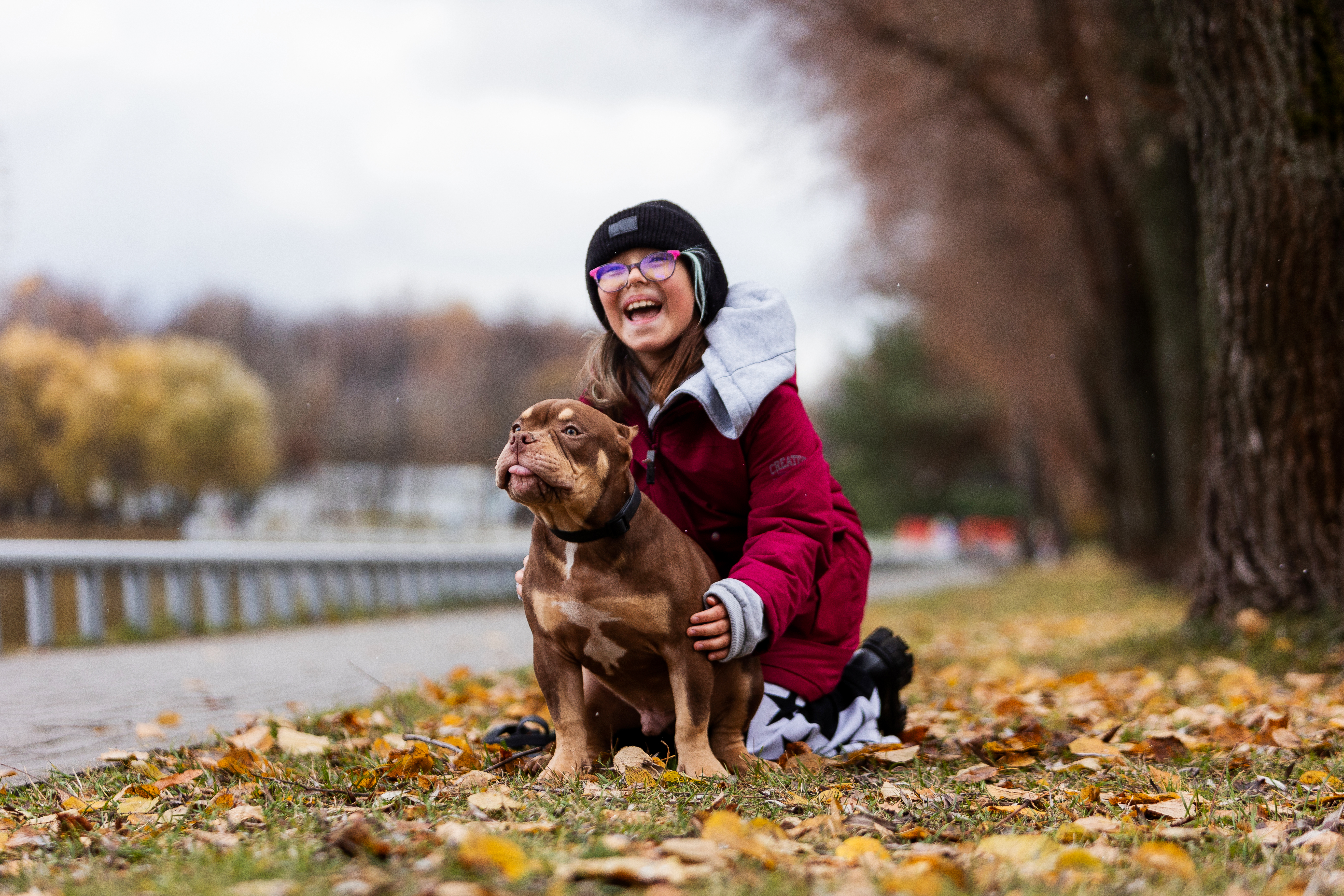 BelovedBully питомник