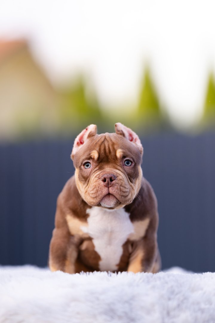 Artist — фото 10