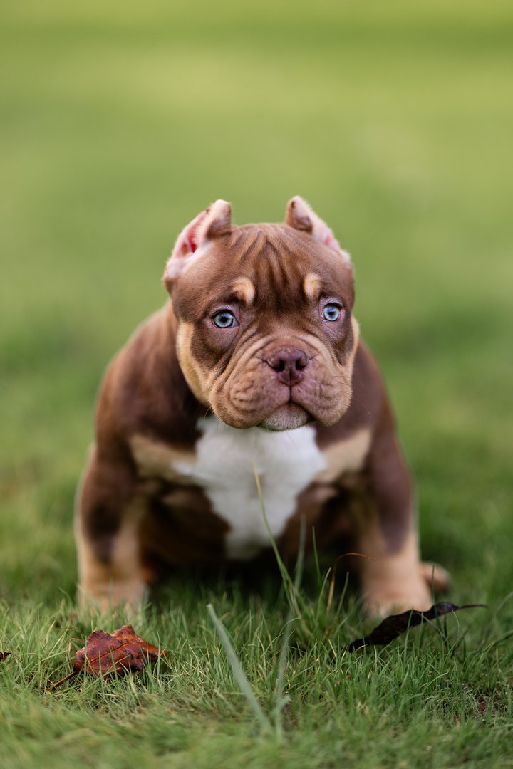 Artist — фото 2