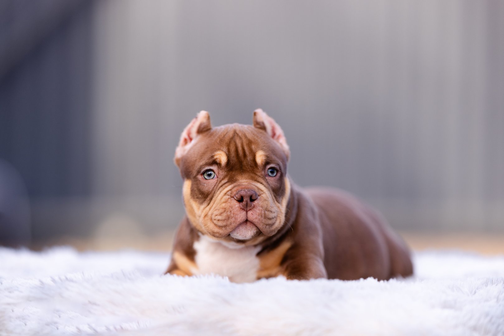 Artist — фото 7