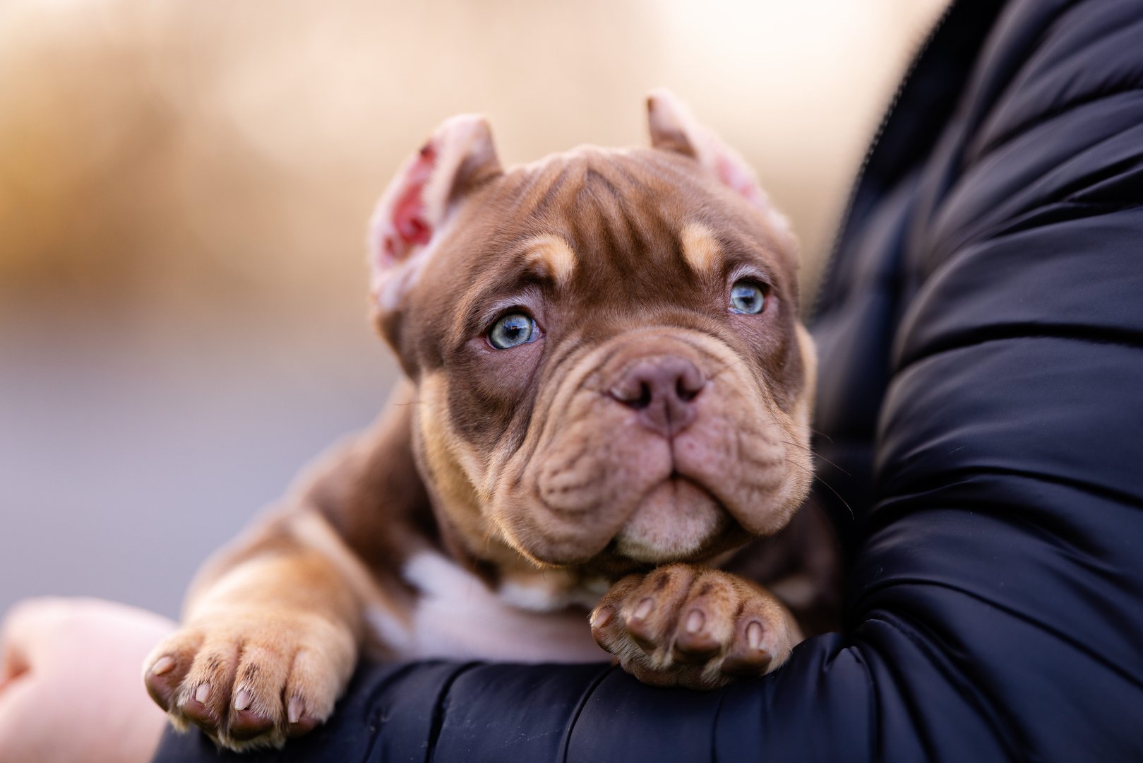 Artist — фото 3