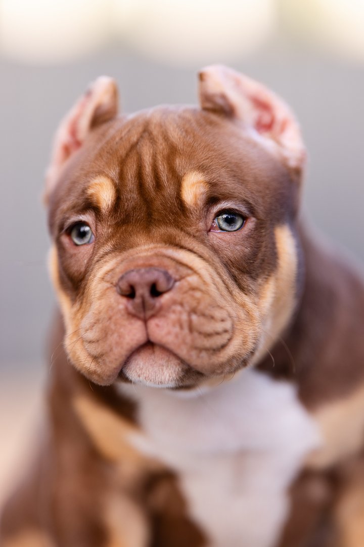 Artist — фото 13