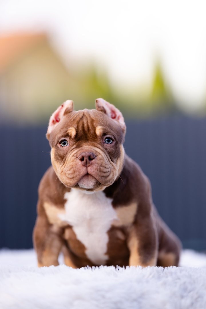 Artist — фото 12