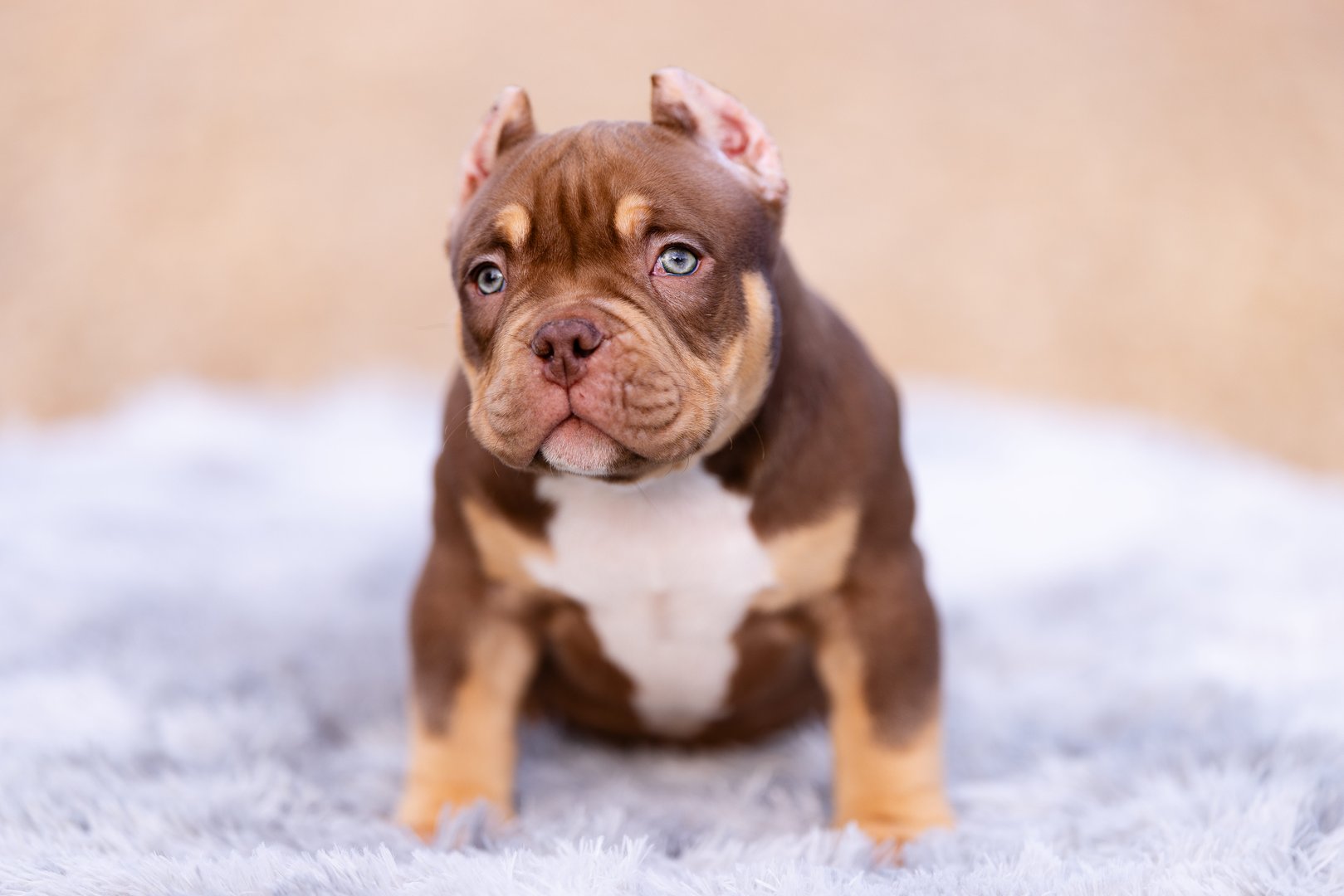 Artist — фото 6