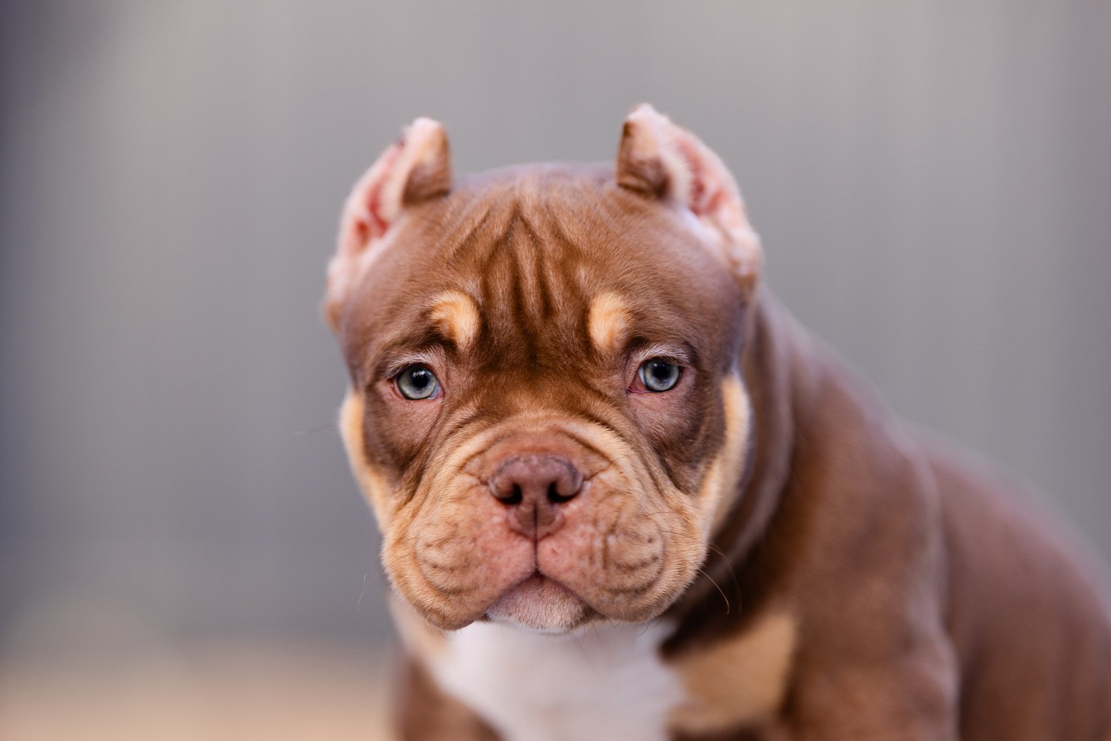 Artist — фото 8