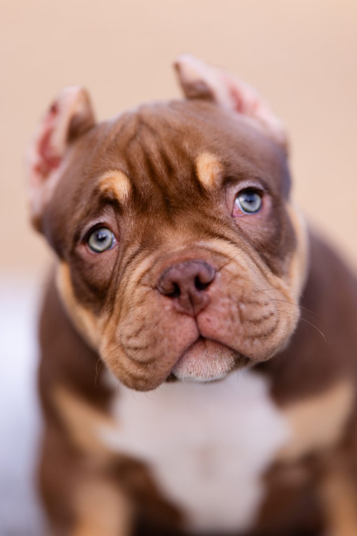 Artist — фото 5