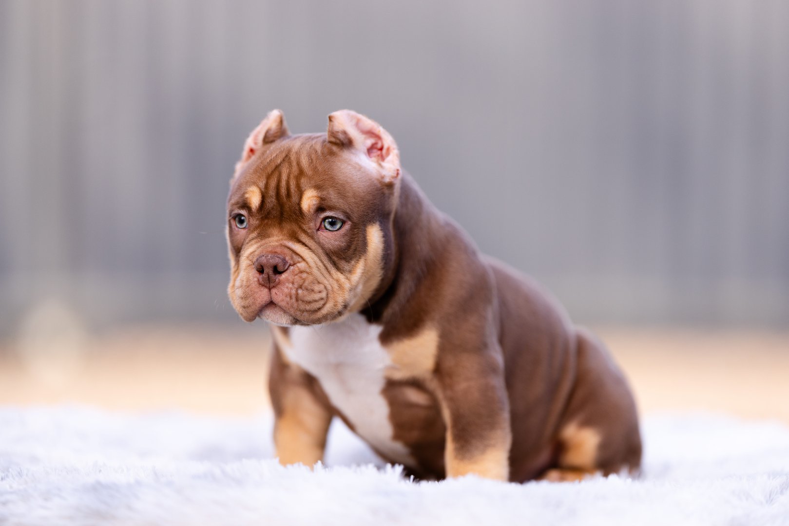 Artist — фото 9