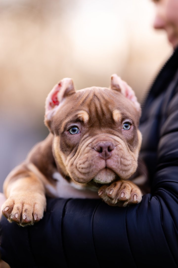 Artist — фото 4