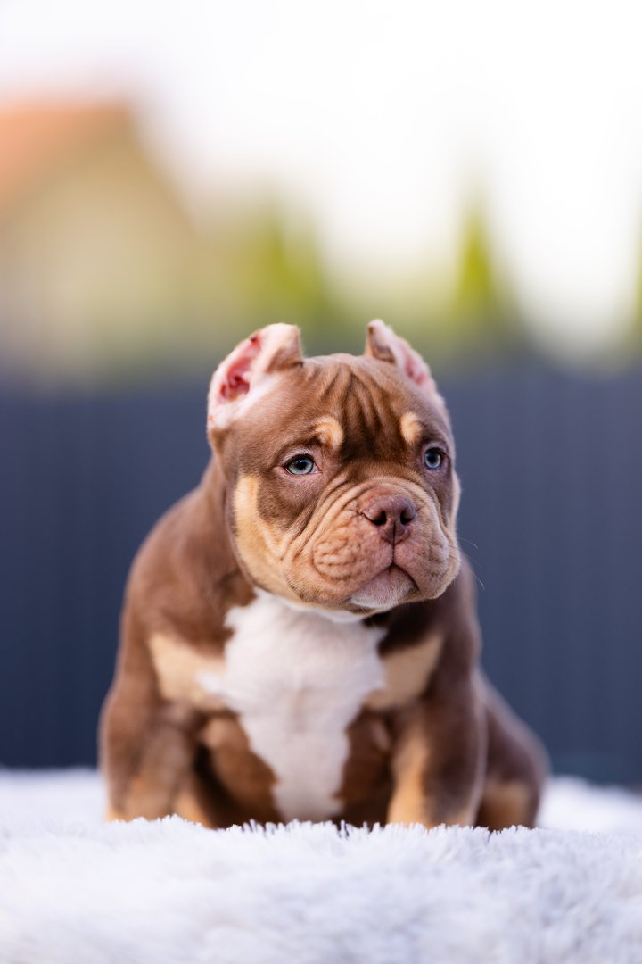 Artist — фото 11